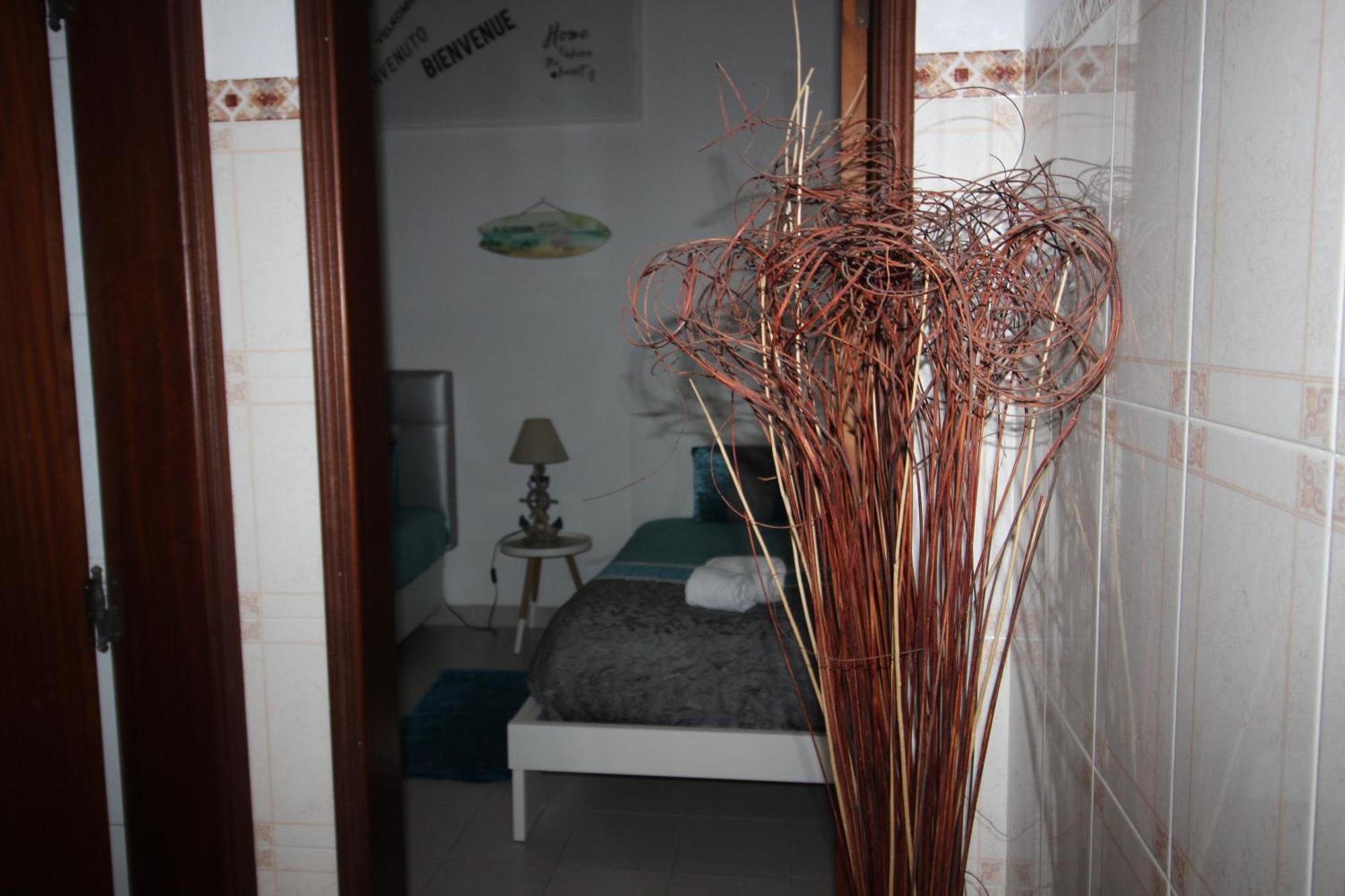 Flor T1 * Nazare